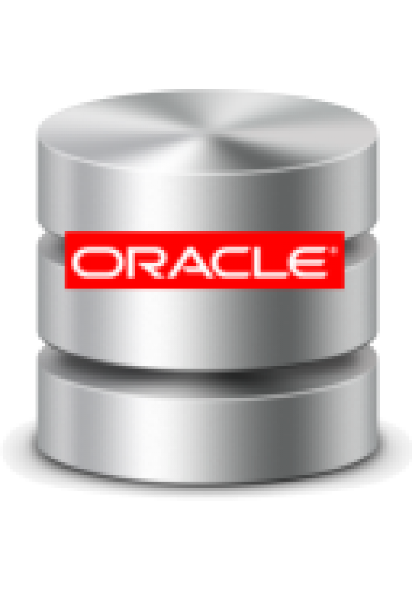 Oracle Database